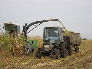 уборка кукурузы