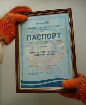 паспорт готовности в варежках